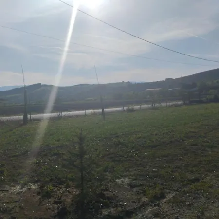 Vagia