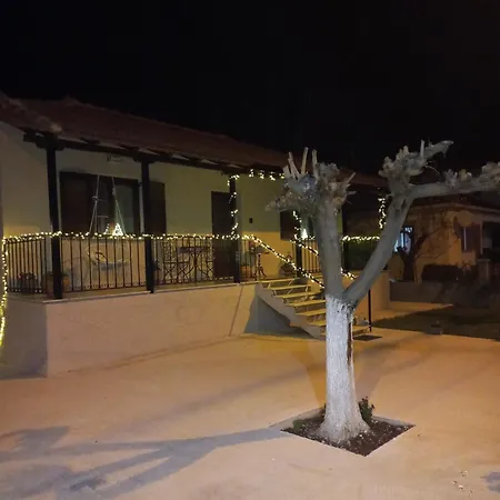 Vagia Vilă *
